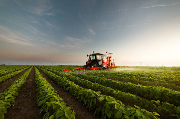 Agronegócio deve ter maior crescimento desde 2017